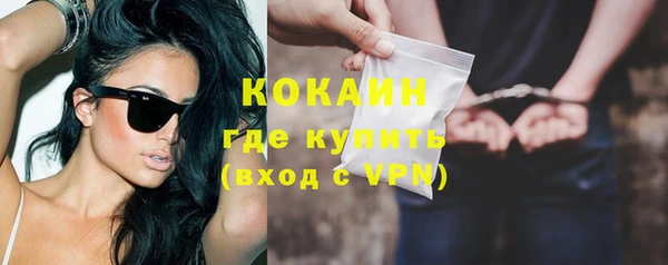 гидра Арсеньев
